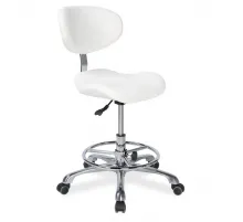 Стул мастера MZ 1026DB2